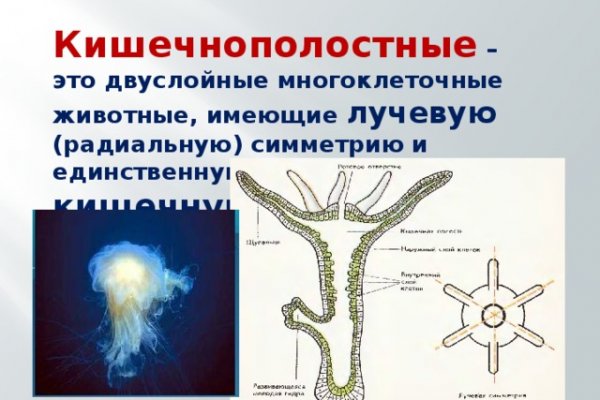 Kraken даркнет официальный сайт